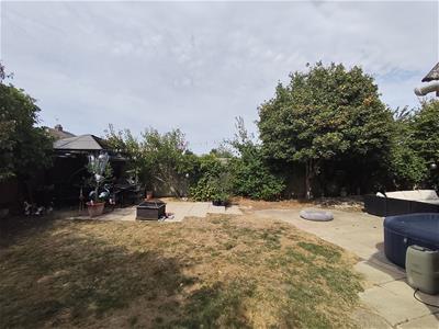 Picture 15